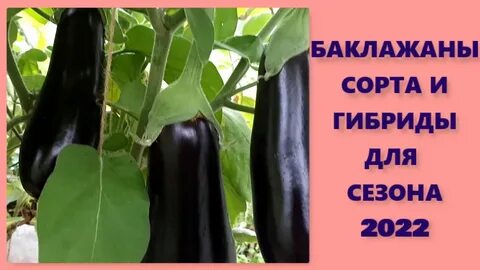 Аня купила 6 огурцов по 33 рубля