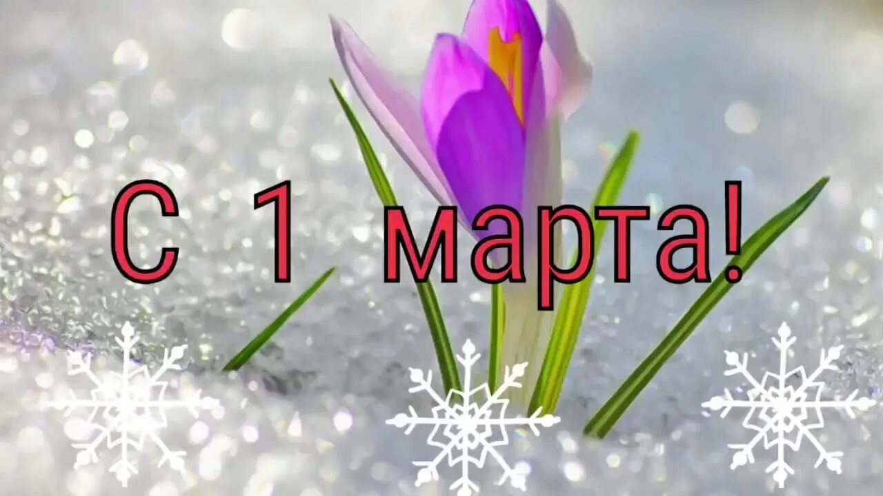 Открытка завтра март. С первым днем весны.