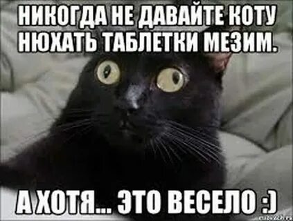 Приди увидь и стань
