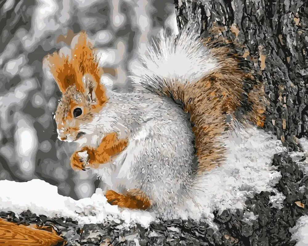 Животные осенью. Поздние белки. Маньчжурская белка. Осень белка. Поздние белки.