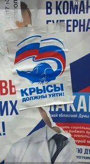 Выборы предвыборная кампания
