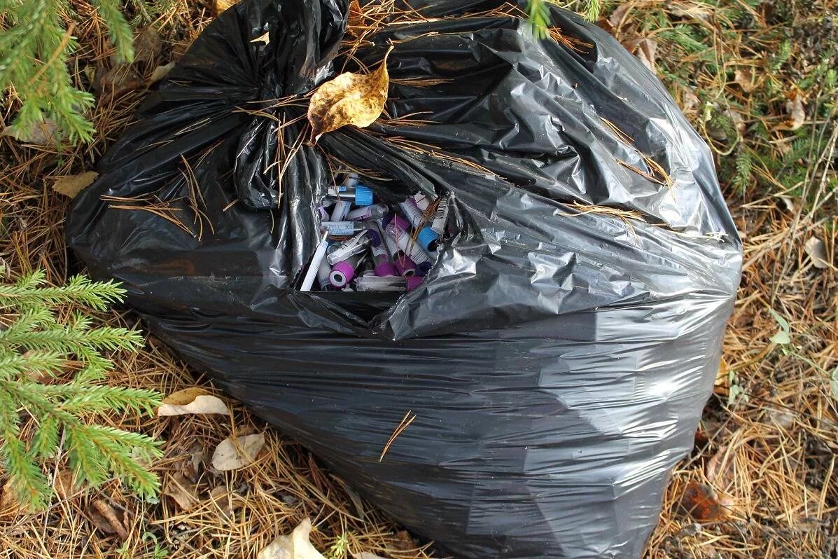 В мешке находится 24. Мусорные мешки в лесу. Мешки с мусором в лесу. Мусорные пакеты в лесу.