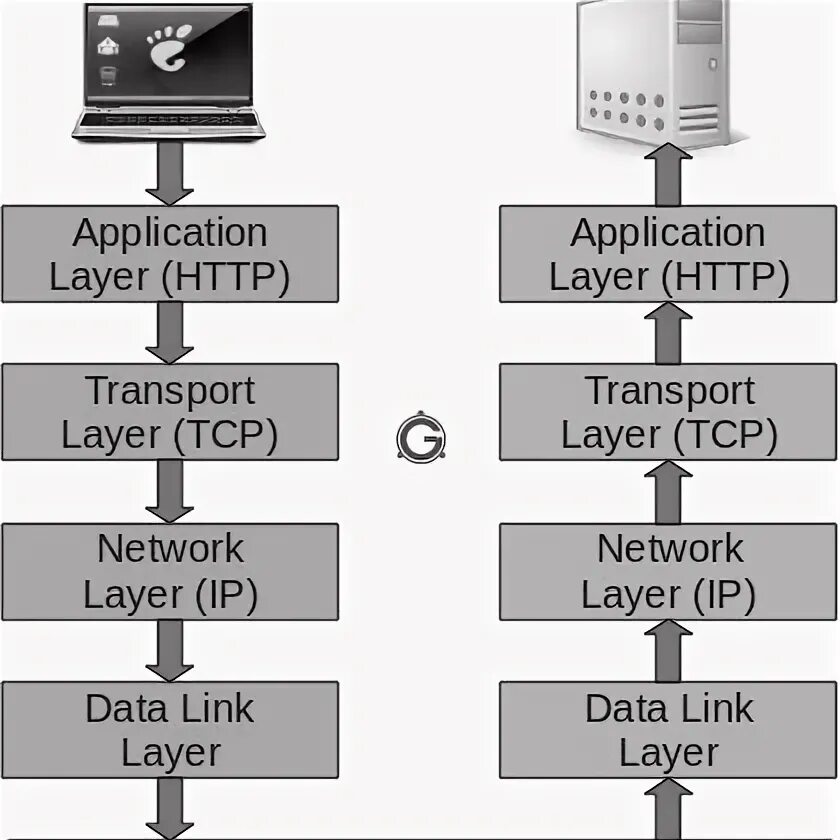 Error network protocol