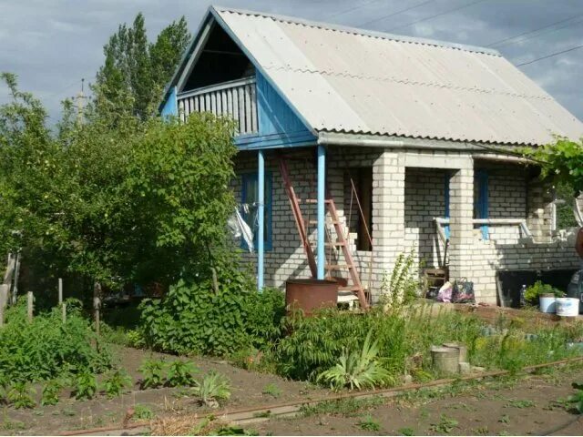 Дачи пески в балаково. Дачи пески в балаково