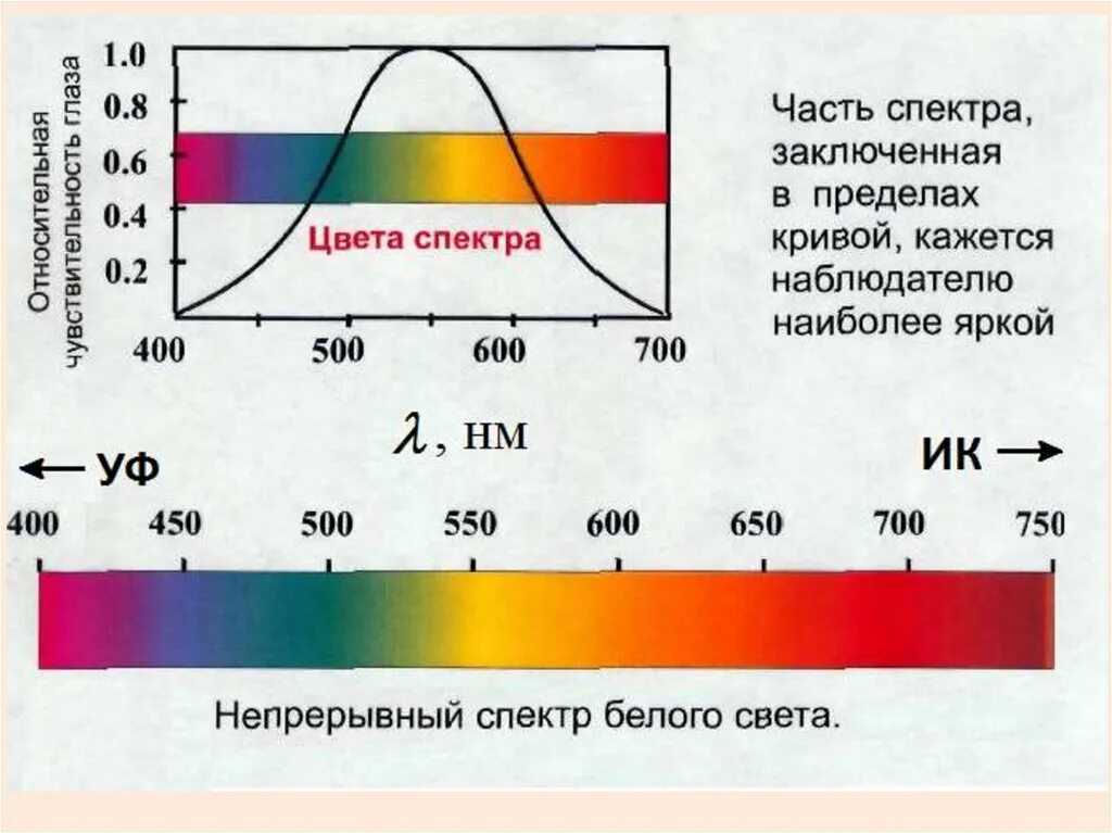 Свет спектр. Спектр белого света. Цвета спектра белого света. Части спектра.