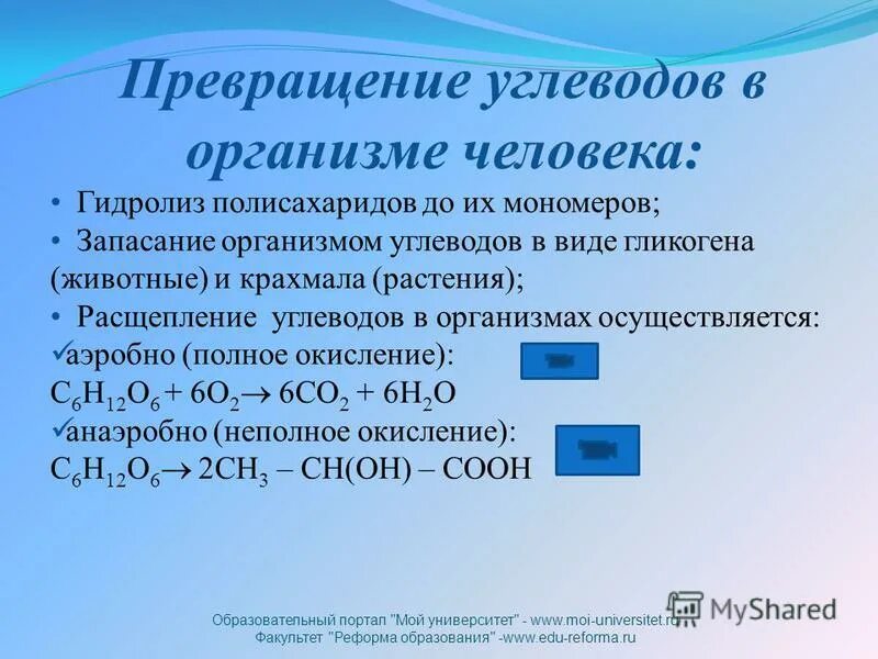 Превращения углеводов в организме. Превращение углеводов. преобразование углеводов. гидролиз полисахаридов в организме.
