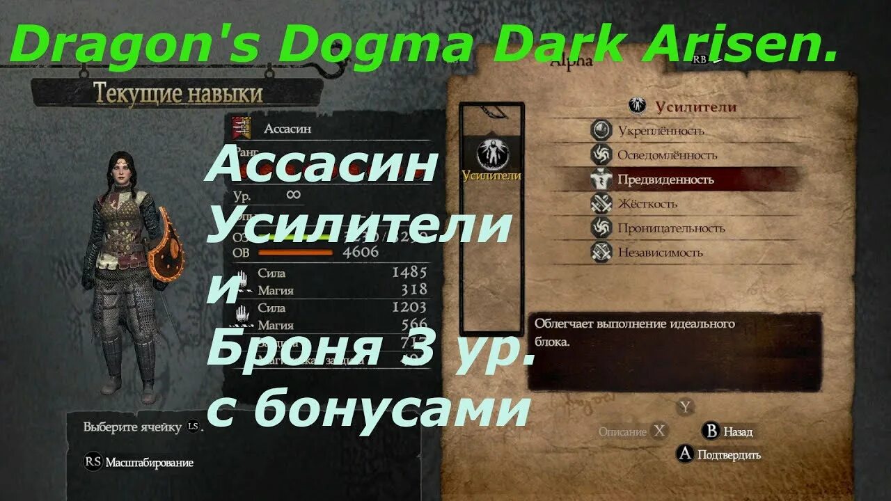 Драгон догма 2 броня. Драгон Догма ассасин. Драгон Догма броня. Dragon's Dogma ассасин навыки. Dragon's Dogma навыки 3 уровня.