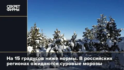 Стоят суровые морозы падеж существительного