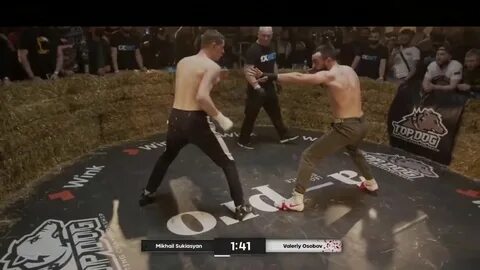 Топ дог казань 13 апреля