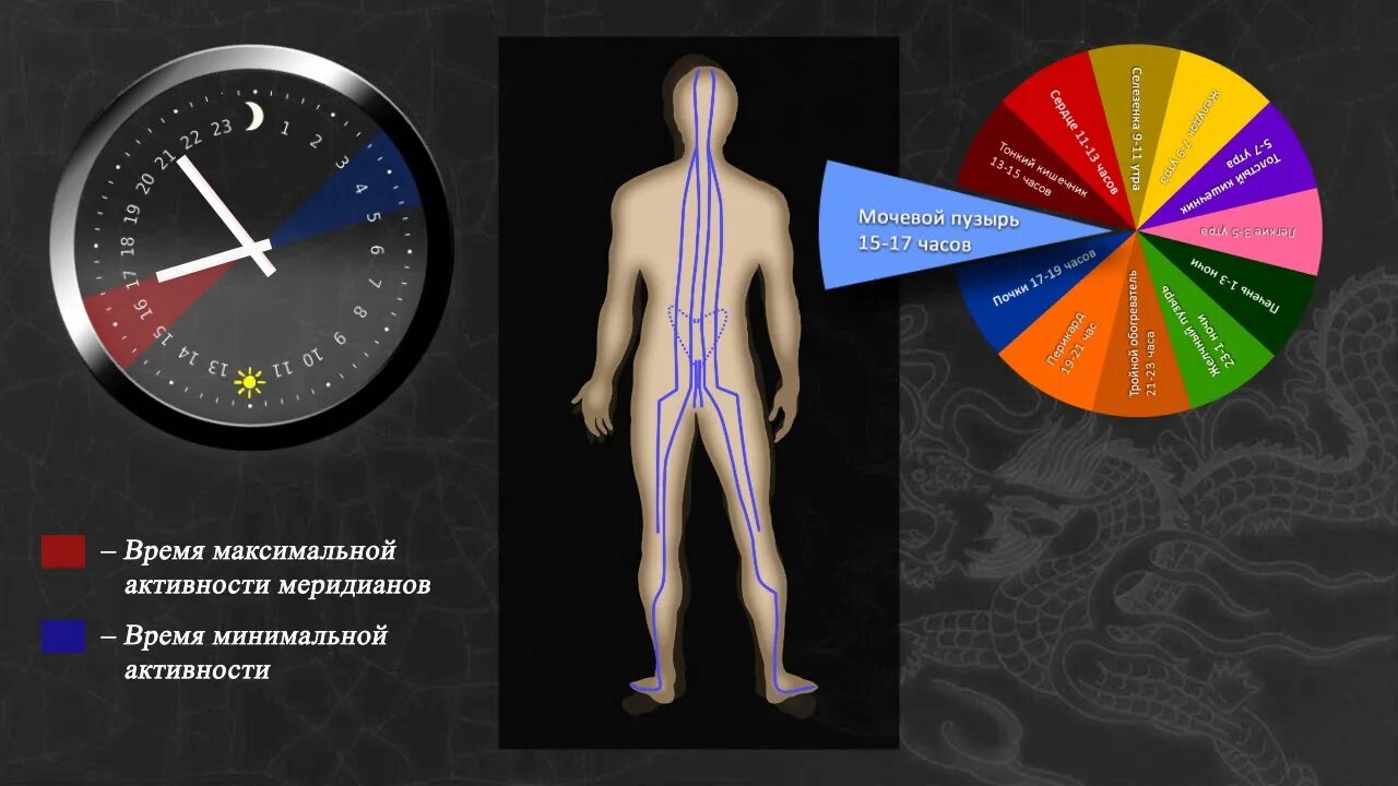 Часы активности меридианов. Часы активности меридианов человека. Суточная активность меридианов. Таблица активности меридианов органов человека.