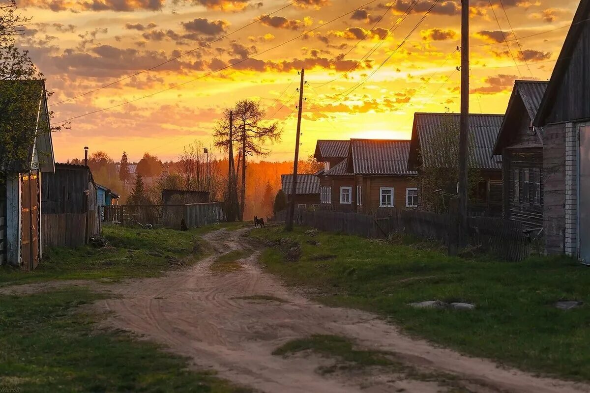 Где город деревня. Деревня деревенька Тверская область. Косолапово (Городецкий район). Улица в деревне. Деревенская улица.