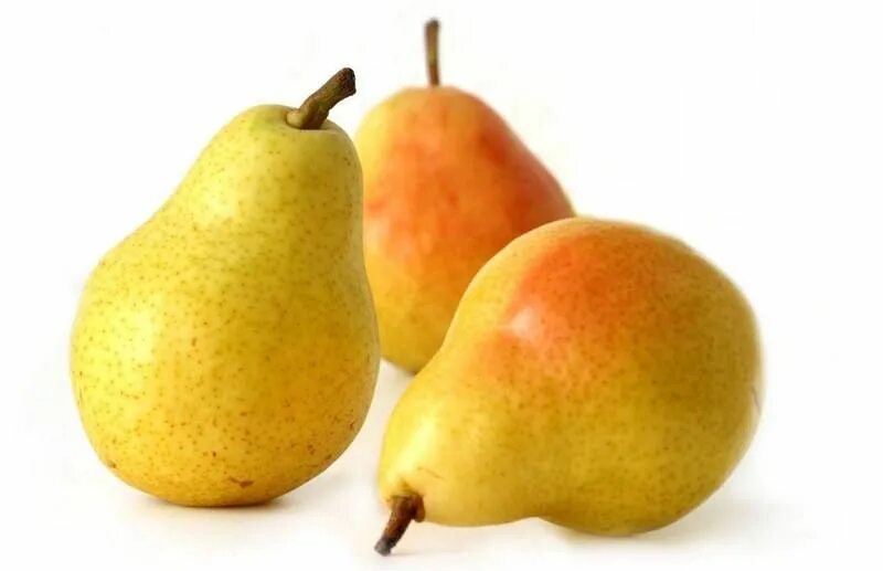 Pear 6. Груша Армут. Груша Пакхам. Груша вековая. Груша желтая.