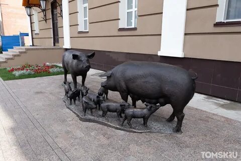 Сибагро томск
