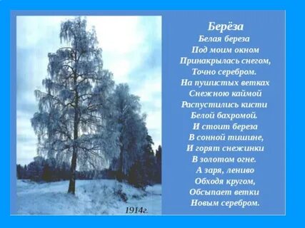 Кто автор стихотворения береза