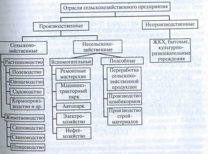 К сельскохозяйственным организациям относятся. Типы предприятий сельского хозяйства. Производственные типы сельскохозяйственных предприятий. Виды сельскохозяйственных организаций. Формы предприятия сельскохозяйственной отрасли.