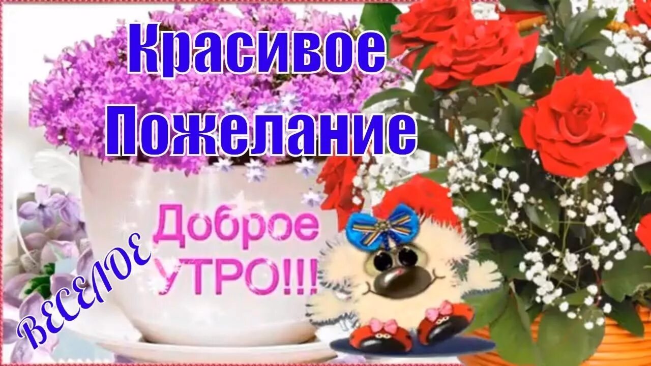 9 октября доброе утро видео. Музыкальный видеоклип с добрым утром. короткие видеоролики с добрым утром. пожелания с добрым утром на ютубе. музыкальные видео открытки с добрым утром.