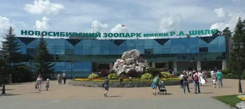 Новосибирский зоопарк веб