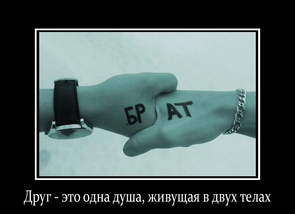 Друг это одна душа. Одна душа в двух телах. Друг это одна душа живущая в двух телах аристотель. Душа живет в двух телах. Дружба это одна душа живущая.