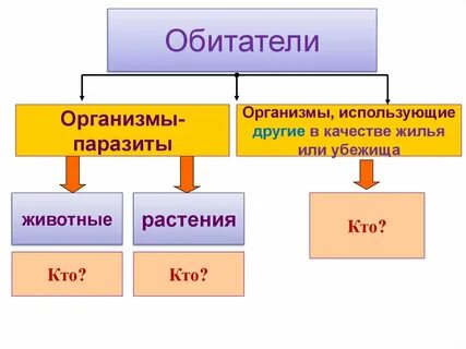 Применять организм
