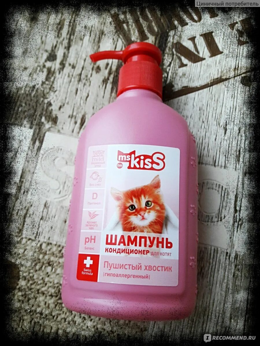 Каким шампунем можно мыть котенка