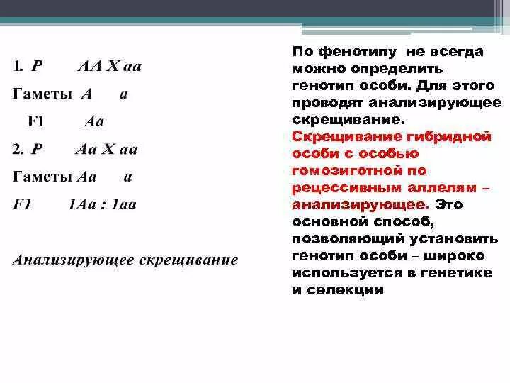 Каков генотип особи аа. Как понять по генотипу и фенотипу. Генотип определение. Можно ли по фенотипу определить генотип. Определение фенотипа потгенотипу.