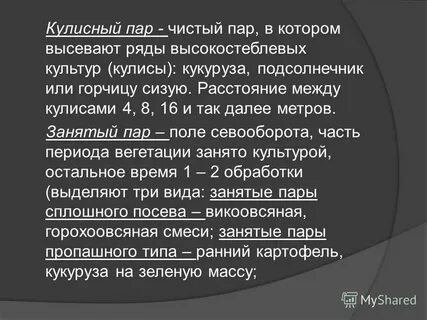 Чистый пар