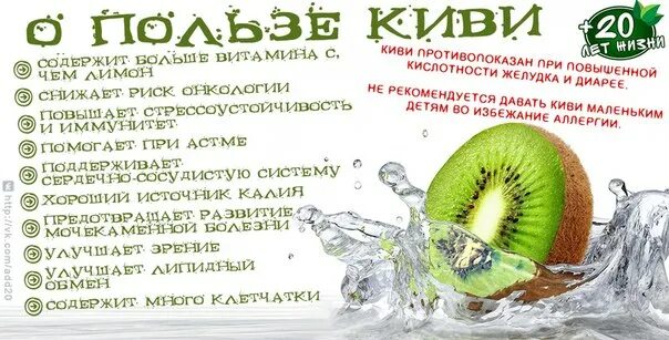 Киви содержит витамин. Чем полезен киви. киви польза. киви чем полезен фрукт для организма. чем полезен киви для организма.