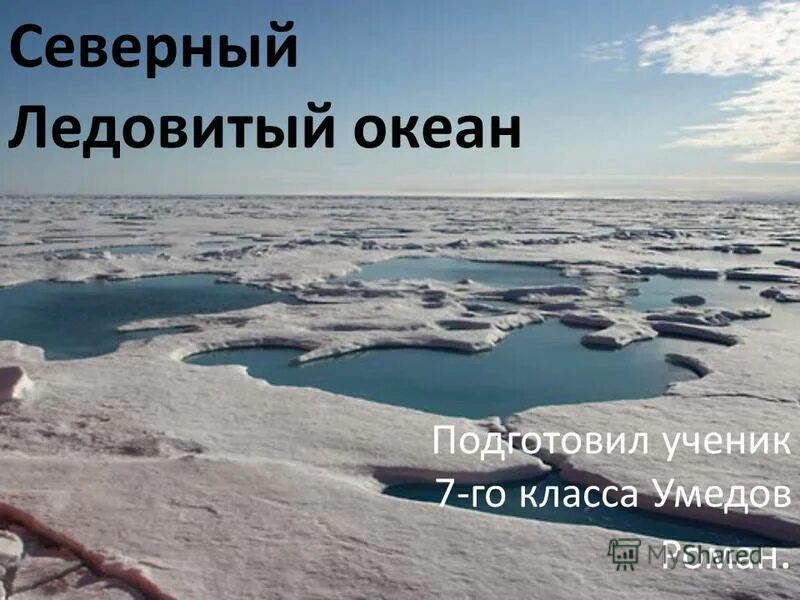 Как пишется ледовитый океан. Северо-Ледовитый океан для презентации. Северный Ледовитый океан презентация. Северный Ледовитый океан 7 класс. Северно Ледовитый океан география.