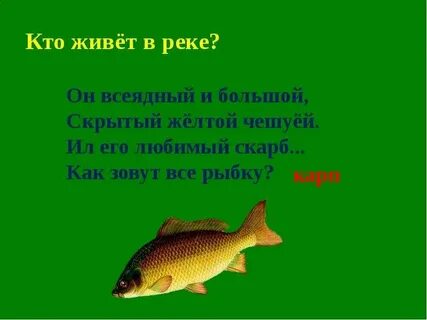Кто обитает в реке