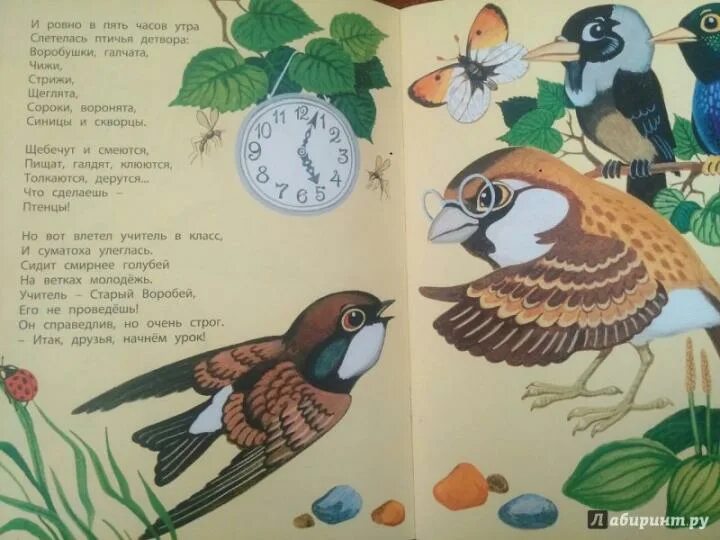 Заходер птичья школа слушать. Заходер веселые стихи птичья школа.
