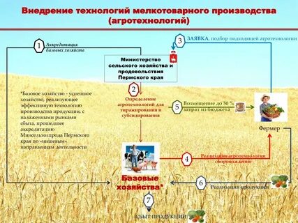 Заявки фермер