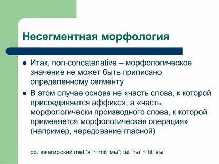 Морфологические формы ели