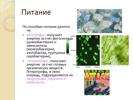 Способ питания большинства