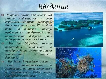 Современные проекты посвященные изучению мирового океана