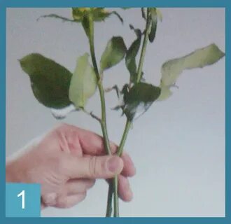 Как собрать спиралью