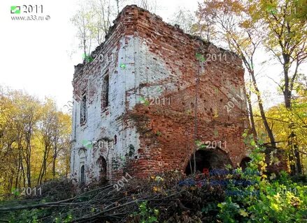 Осинки вязниковский