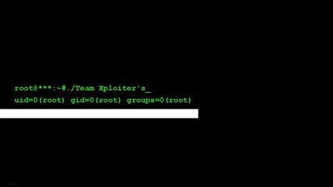 Root missing