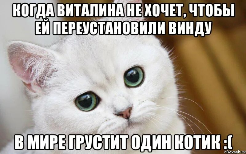 Целую десятку