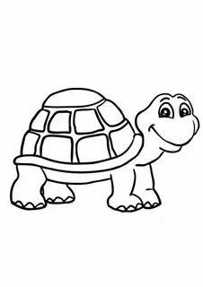 Colorful Turtle Coloring Page