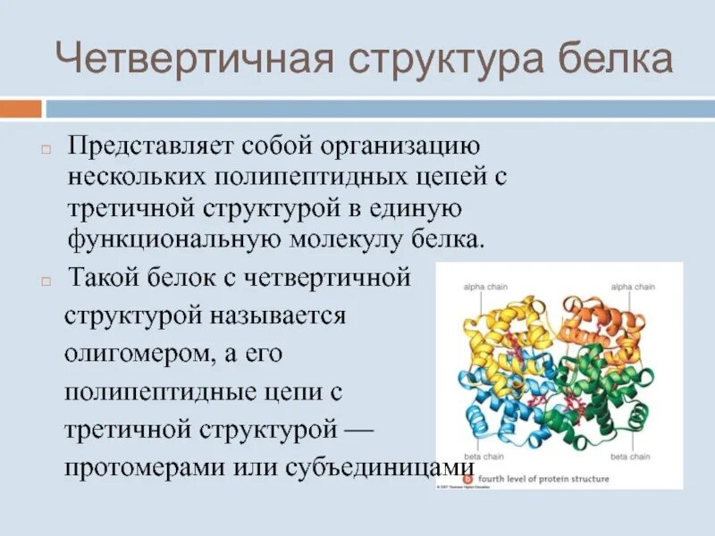 Особенности внутреннего строения белки. Связи в четвертичной структуре структуре белка. Четвертичная структура белка это структура. Четвертичная структура молекулы белка. Белки химия четвертичная структура.