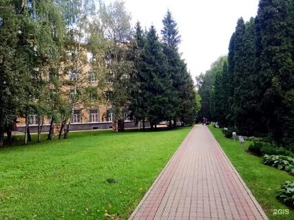 Погода химки московская