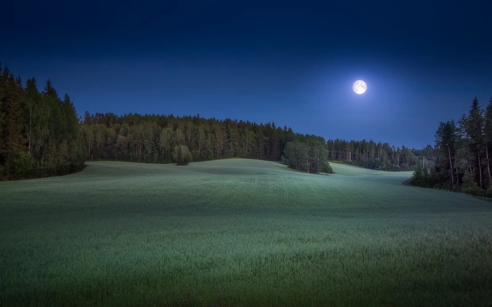 Луна над полями. Природа ночью. Поляна в лесу ночью. Ночной лес. Поляна ночью.