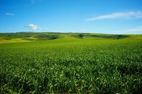 Farmland