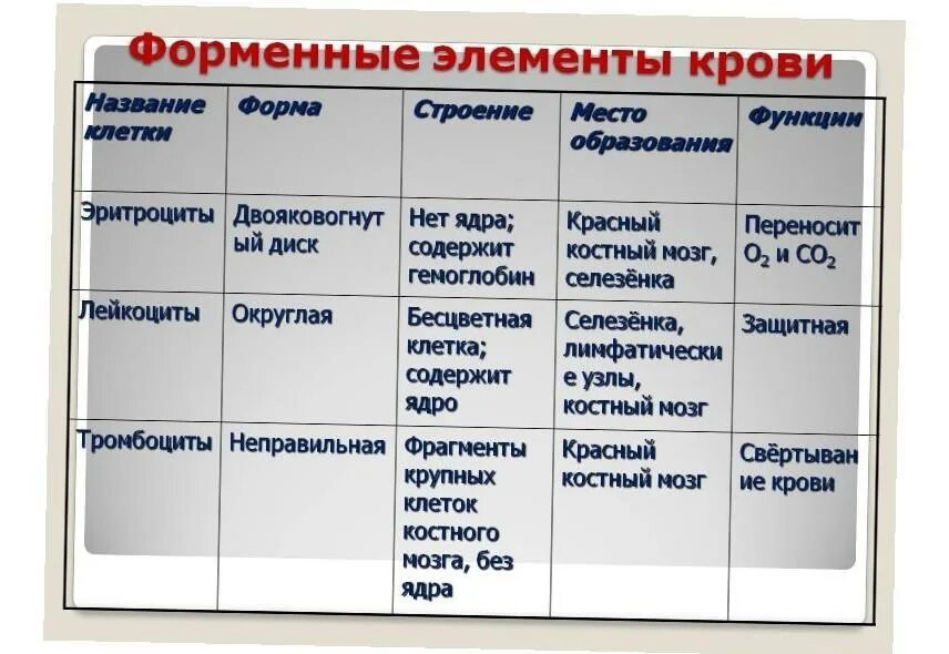 Таблица форменные элементы характеристика функции Внутренняя среда организма и ее функции таблица
