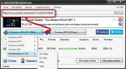 Загрузчик с ютуб на русском
