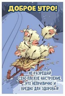 Утро февраля прикольно