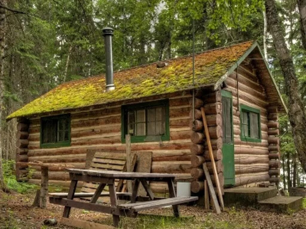 Дом из бревна лесной. Лог кэбин. лог-кэбин (log cabin). домик в лесу из бревен. охотничий домик из бреаин.