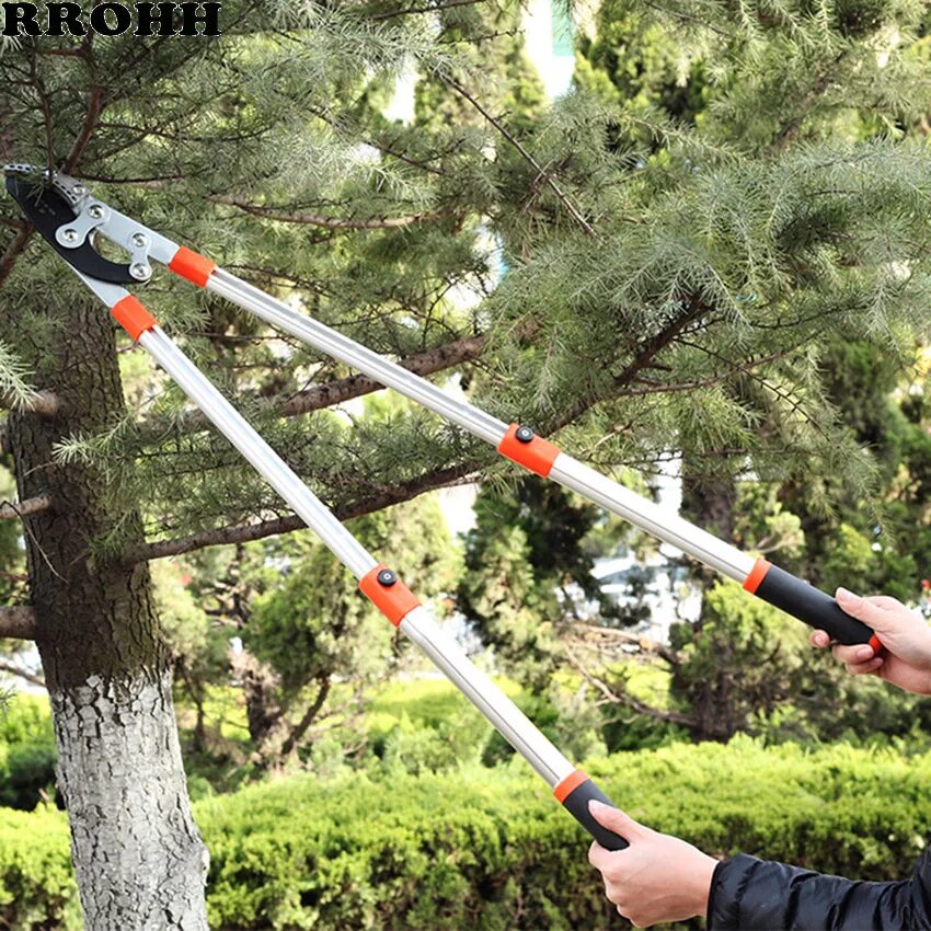 Инструмент для обрезки деревьев. Телескопический секатор для деревьев. Секатор с телескопическими ручками сакура. Сучкорез садовый телескопический. Ножничный телескопический секатор для сада.
