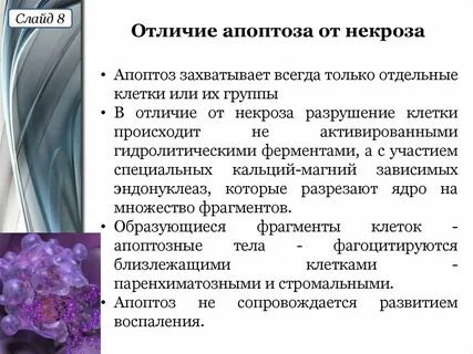 Причинами некроза являются