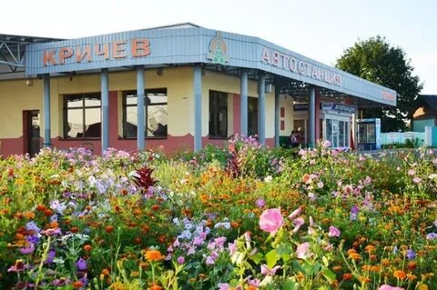 Автовокзал кричев телефон